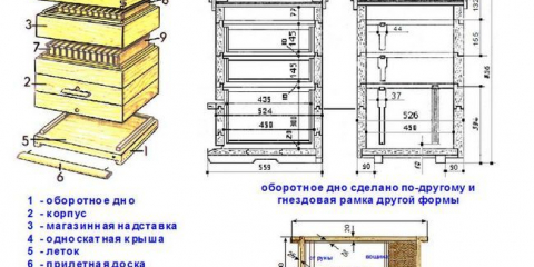 Как да направите пчелен кошер самостоятелно: използваме рисунки